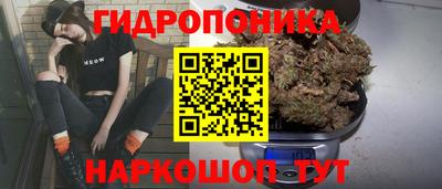 ГАЛЛЮЦИНОГЕННЫЕ ГРИБЫ Нальчик