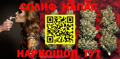 ГАЛЛЮЦИНОГЕННЫЕ ГРИБЫ Нальчик