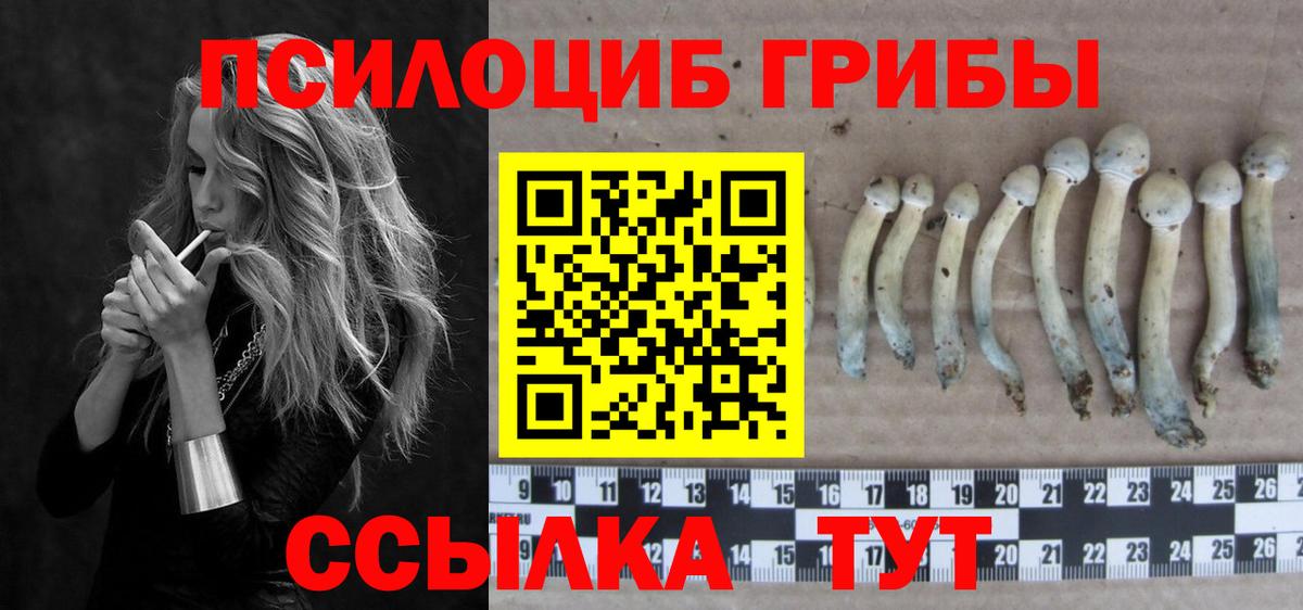 Псилоцибиновые грибы мицелий  Псилоцибиновые грибы MAGIC MUSHROOMS  Прохладный  Вход с VPN 