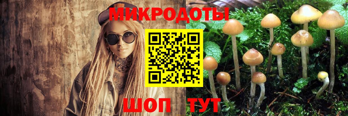 Псилоцибиновые грибы ЛСД Прохладный