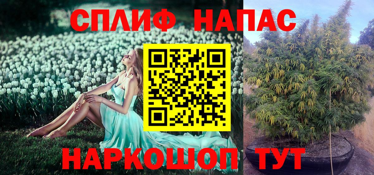 МАРИХУАНА план Прохладный